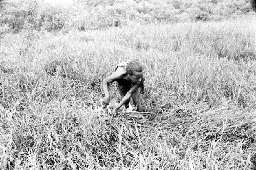 A child does something with grass