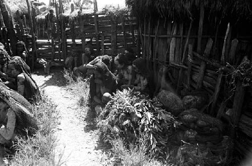 Women and children grouped near the ebeai and around the fences of Haliole's sili