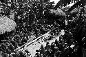 People near the wood that has been collected to burn the boy