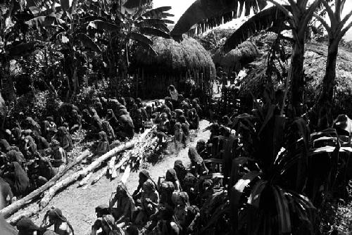 People near the wood that has been collected to burn the boy