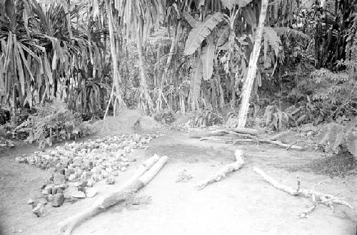 Jan Broekhuijse negatives, New Guinea