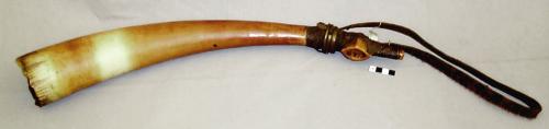 Trumpet of elephant tusk, wrapped with reptile skin, cow hide  handle held in pl