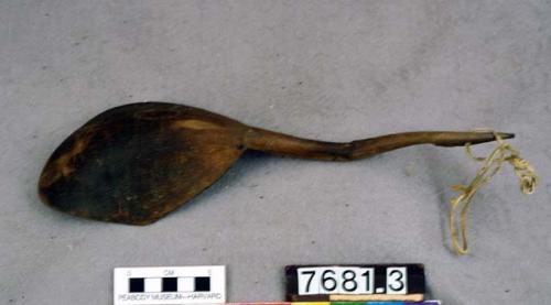 Spoon made of Rocky Mountain sheep horn