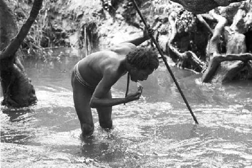 Woluklek drinking by splashing water up into his mouth