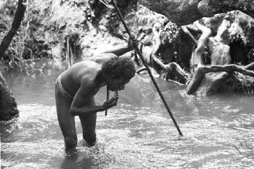 Woluklek drinking by splashing water up into his mouth