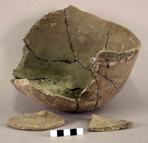 Ceramic rim and body sherds, partial vessel, plain, shell tempermended