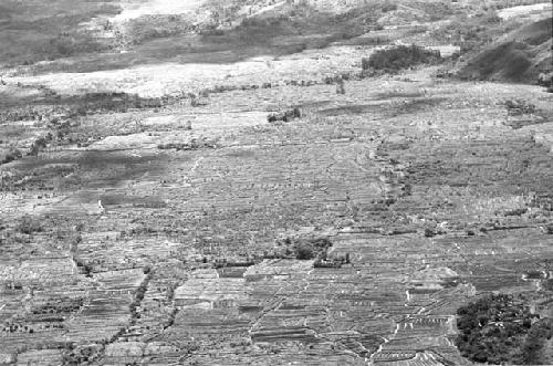 Area of the Kossi Alua and WW border; looking into the eastern wall; Holibara top right, center