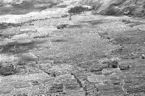 Area of the Kossi Alua and WW border; looking into the eastern wall; Holibara top right