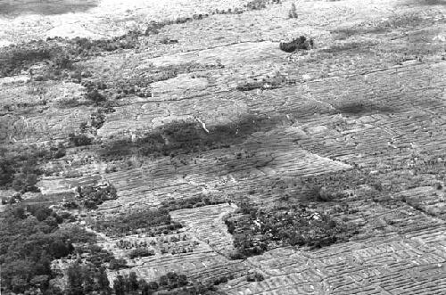 Aerial photograph; area of the Kossi Alua and WW border; looking into the eastern wall; Holibara top right, center