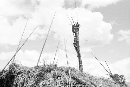 men repairing Weaklekek's kaio; seen from the one side of the oléa