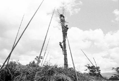 Men working on the kaio; seen over the oléa; spears propped against the oléa