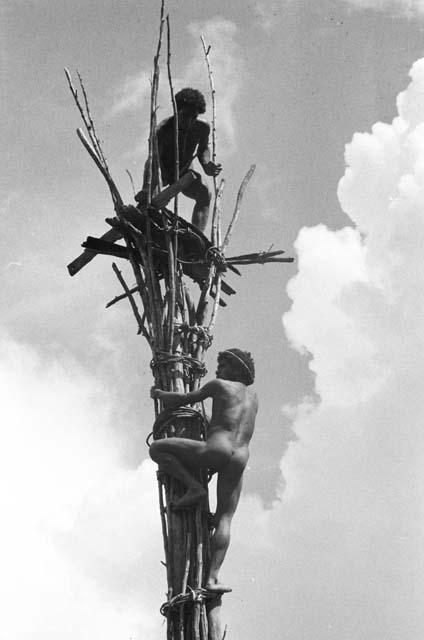 Men putting the seat together of the kaio; at Puakoloba