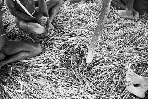 Toy bow which will be placed on the kaio on the ground near men's feet; under the oléa