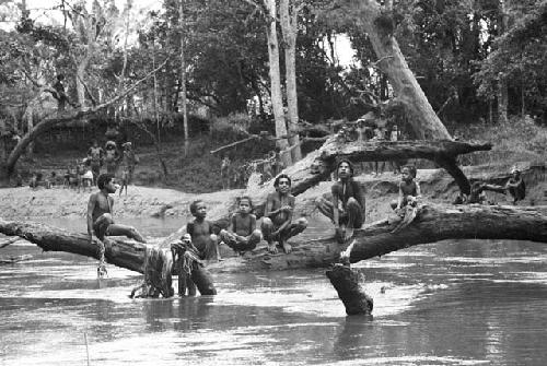 Wittaia children seated on the stump out in the middle of the Aikhé river on the trip down to Wamena from Homoak