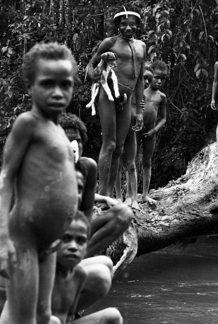 Wittaia children seated on the stump out in the middle of the Aikhé river on the trip down to Wamena from Homoak; man stands in the bkgd with a dog; he wants to sell to one of the expedition members