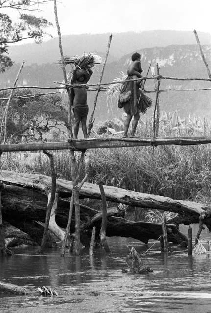 Bridge over Aikhé; women crossing; one has a child on her shoulders