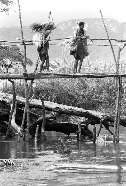 Bridge over Aikhé; women crossing; one has a child on her shoulders