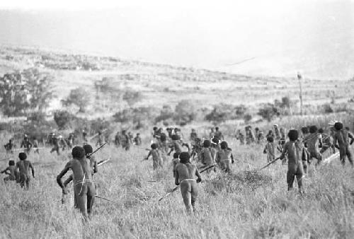 WW foreground; Wittaia background; battle out in the field between the Warabara and the Siobara