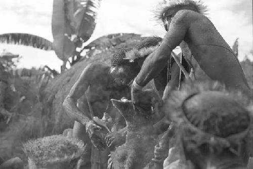 Men cutting pig meat in Abulupak during the funeral for the woman who died there