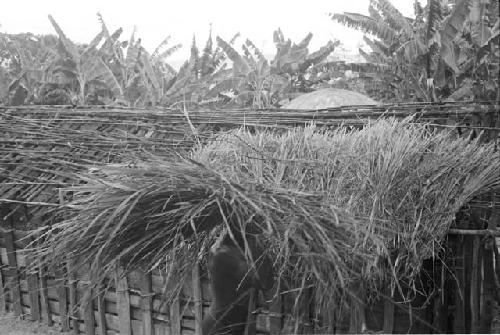 Apeori and another man begin the thatching on the roof of the new hunu in Abukulmo