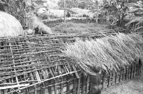 Apeori and another man begin the thatching on the roof of the new hunu in Abukulmo