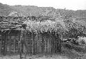 Apeori and another man begin the thatching on the roof of the new hunu in Abukulmo