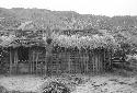 Apeori and another man begin the thatching on the roof of the new hunu in Abukulmo