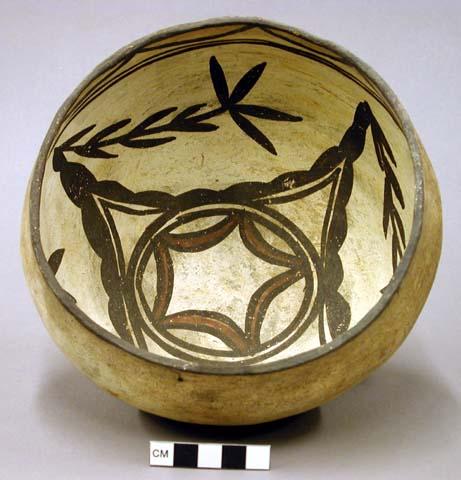 Bowl, polacca polychrome style c. int: plant design; ext: slipped, no design. 10