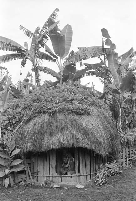 Woman and child look out the doorway of a ebeai