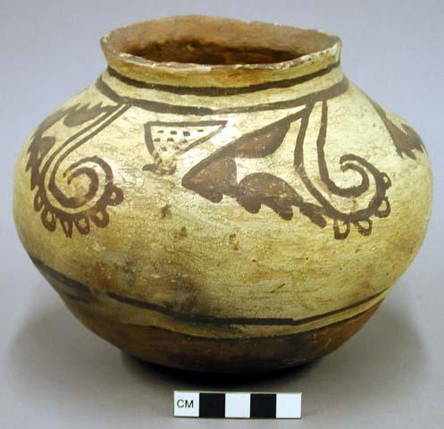 Jar, polacca polychrome style c. Zuni rain bird design.