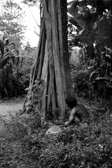 In the back sili at Abukulmo; seen thru banana trees; 2 men at work at something