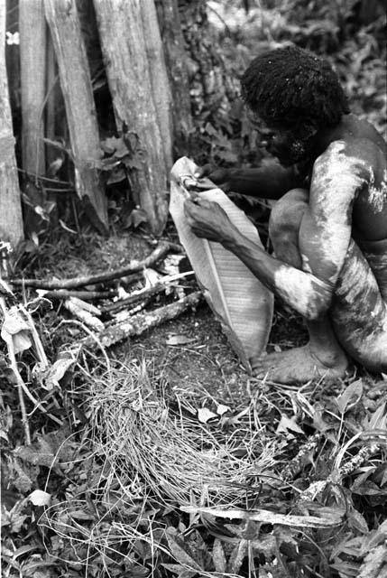 Huonke takes the back off a small banana leaf in order to wrap something