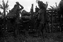 2nd or 3rd day of Weaké's funeral; women and little girls leaving the sili of Haliole