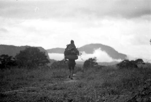 Woman walking home towards the south; child and nets full of hiperi on her back