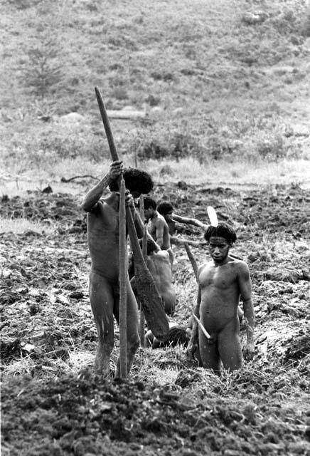 Men clearing ditch in Werene's garden