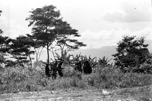 Women walking in the fields towards the sili