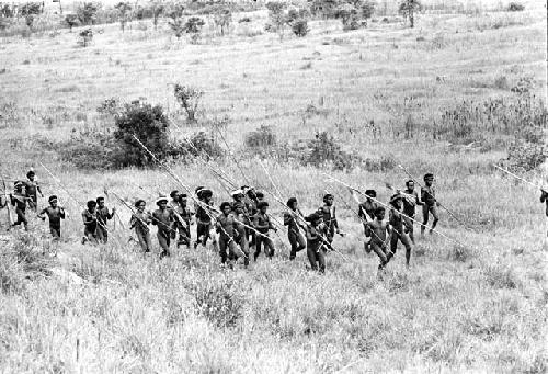 A group of warriors running back and forth to the east on the edge of the Warabara