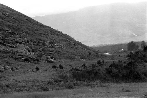 A Wittaia being carried home on the shoulders of his comrades along the edge of the Siobara