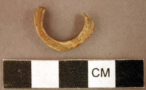 Worked animal bone ring fragment