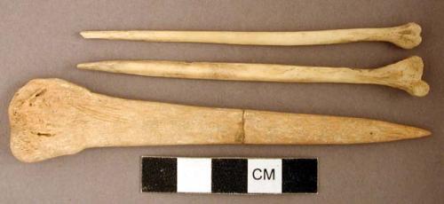 Worked animal bone awl fragments; two fragments crossmended with glue; worked animal bone fragment