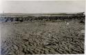 Awatubi - north. Sand in foreground.