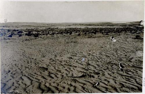 Awatubi - north. Sand in foreground.