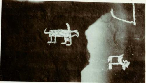 Pictographs of ibex and conventionalized animal