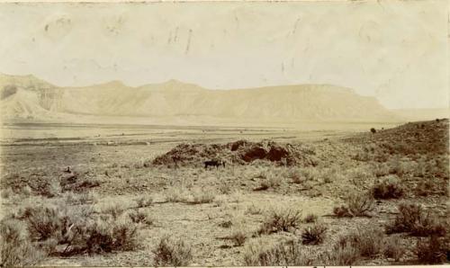Ruin mounds near Aztec Springs, two saddled horses in foreground
