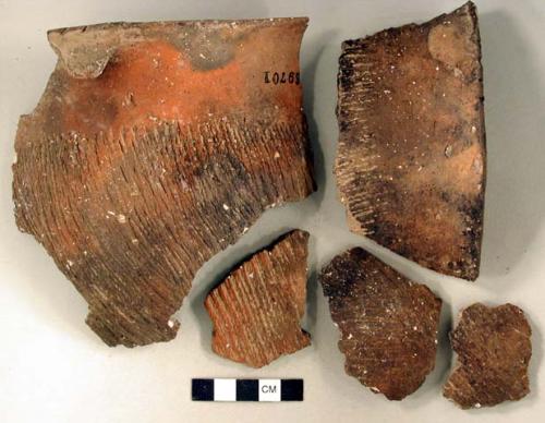 Ceramic, earthenware rim, body, and handle sherds, flared incised rim, two lugs, one missing handle, one missing handle or lug, cord-impressed body, shell-tempered; six rim sherds and one body sherd crossmend; three body sherds crossmend; two body sherds crossmend; two body sherds crossmend