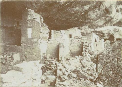 Interior of Sprucetree House