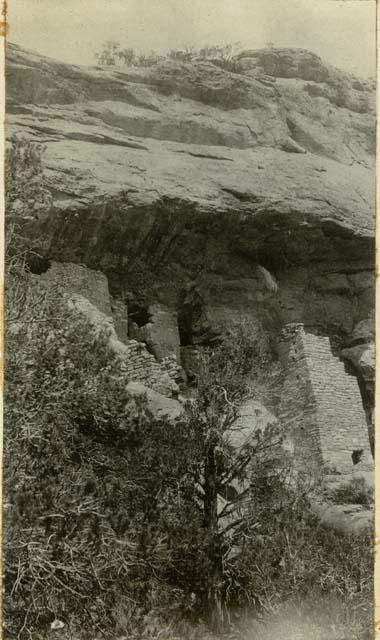 Ruins of Johnson Canon