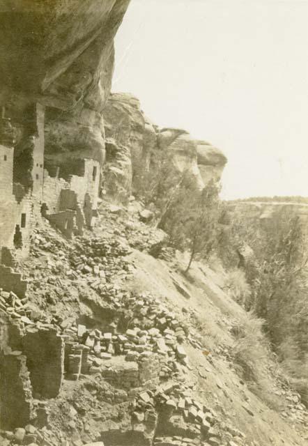 Cliff Palace ruins