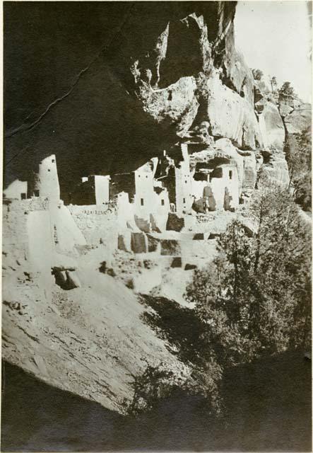 Cliff Palace ruins from north