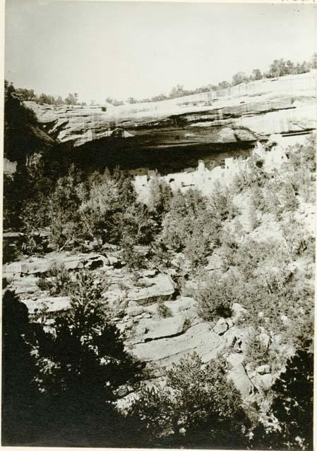 Cliff Palace ruins from across canyon